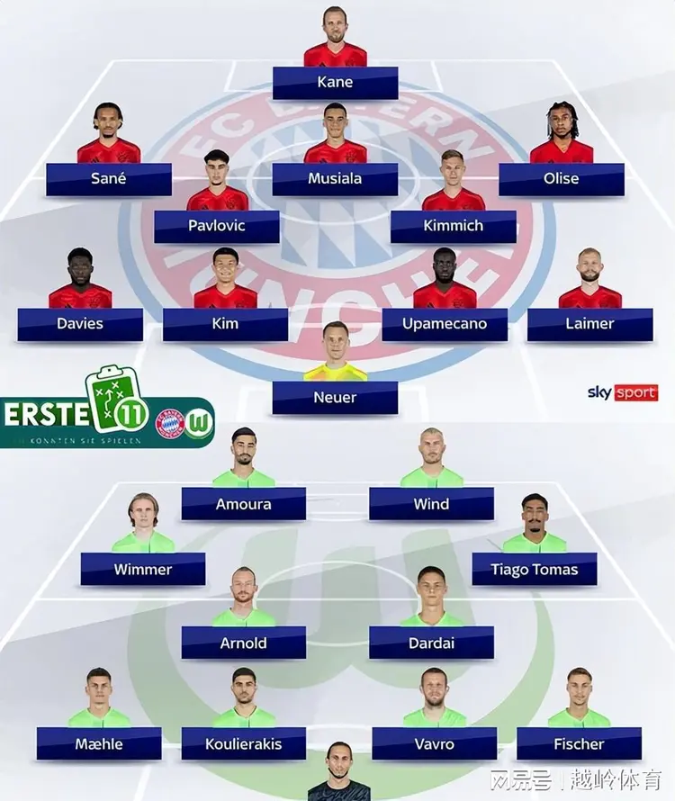 aoa体育视频-包含沃尔夫斯堡在主场获胜，提升排名的词条