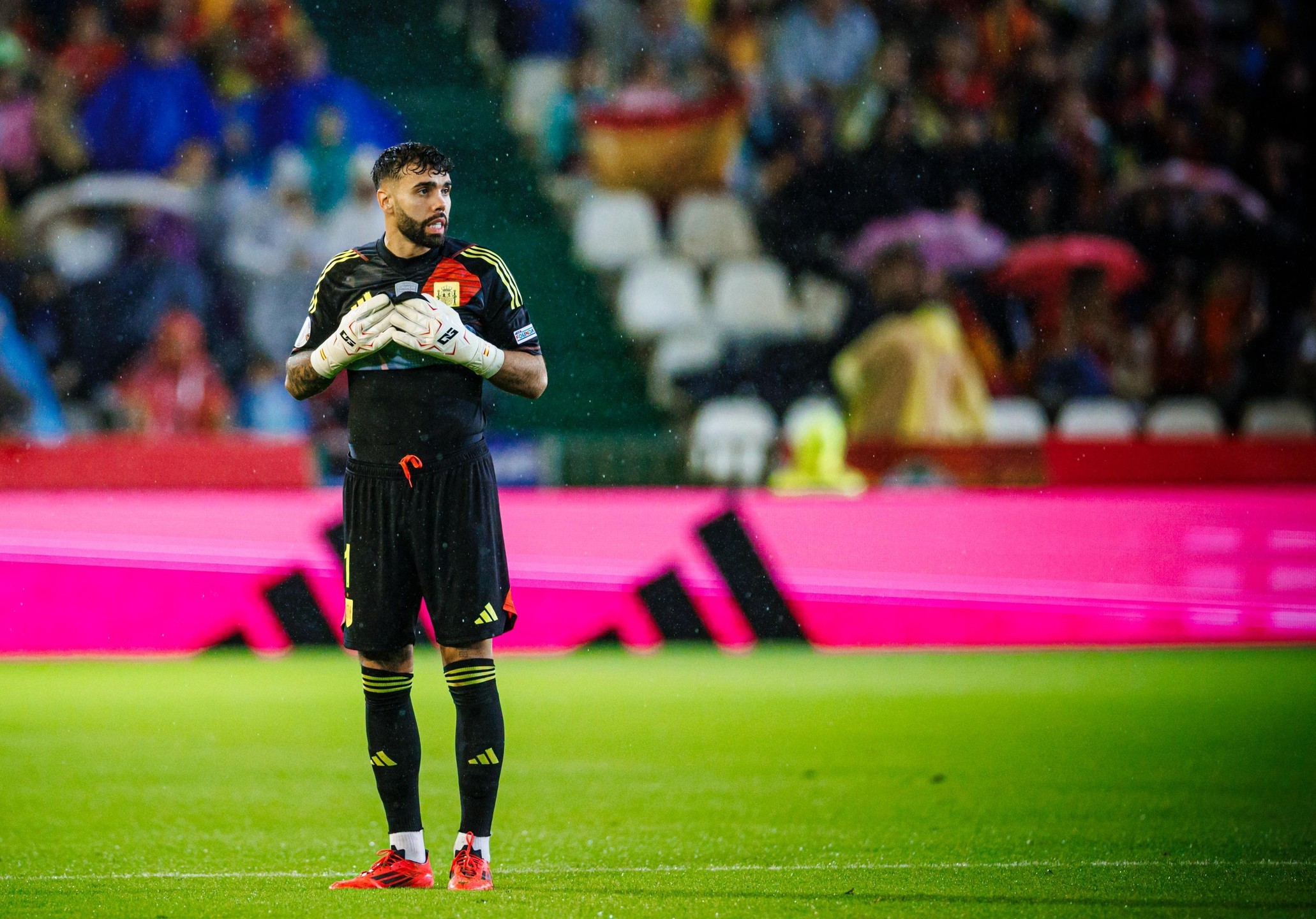 西班牙选手意外受伤,赛事陷入波折的简单介绍 西班牙选手意外受伤,赛事陷入波折的简单介绍