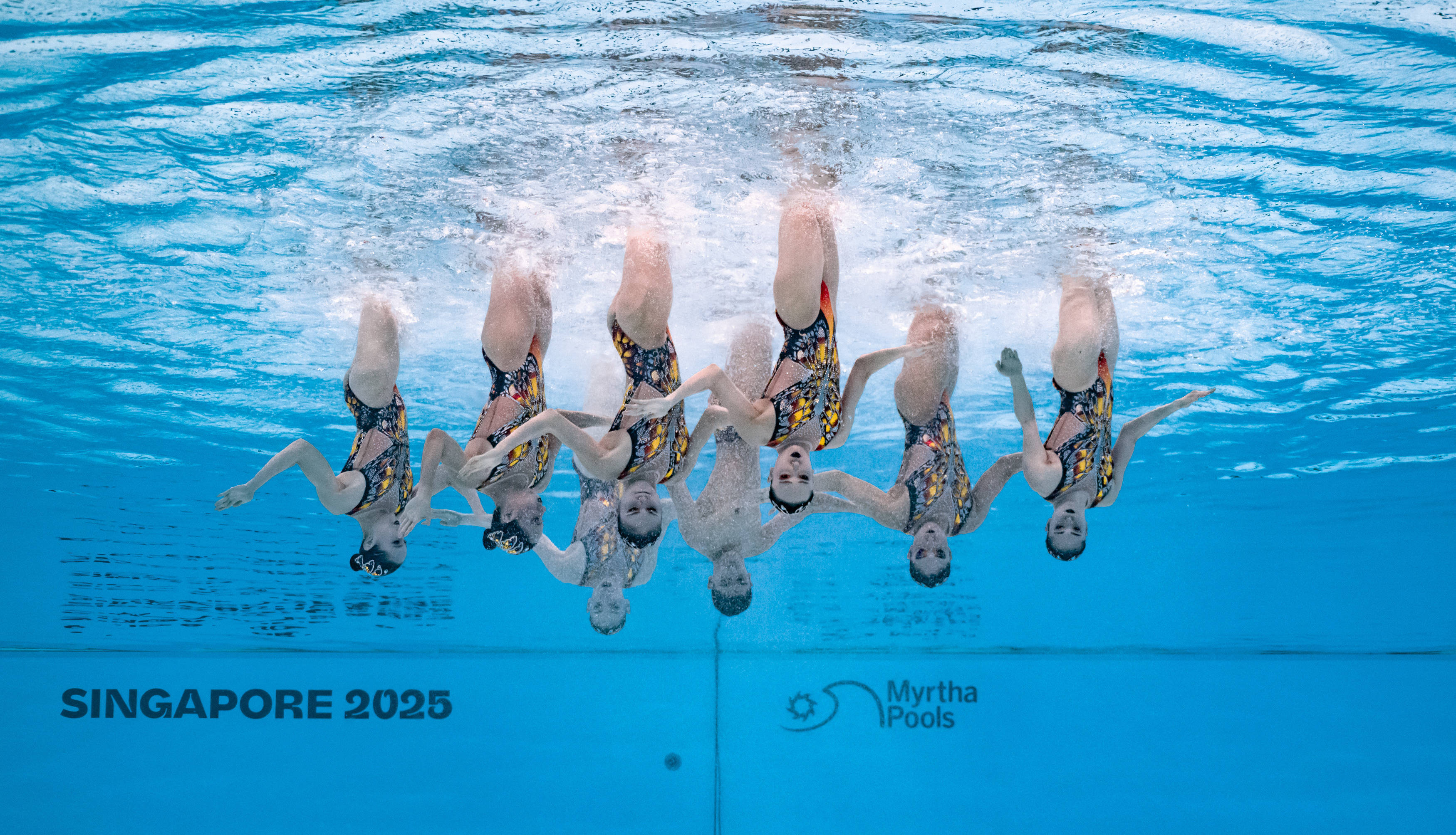 墨西哥游泳选手获得女子自由泳金牌